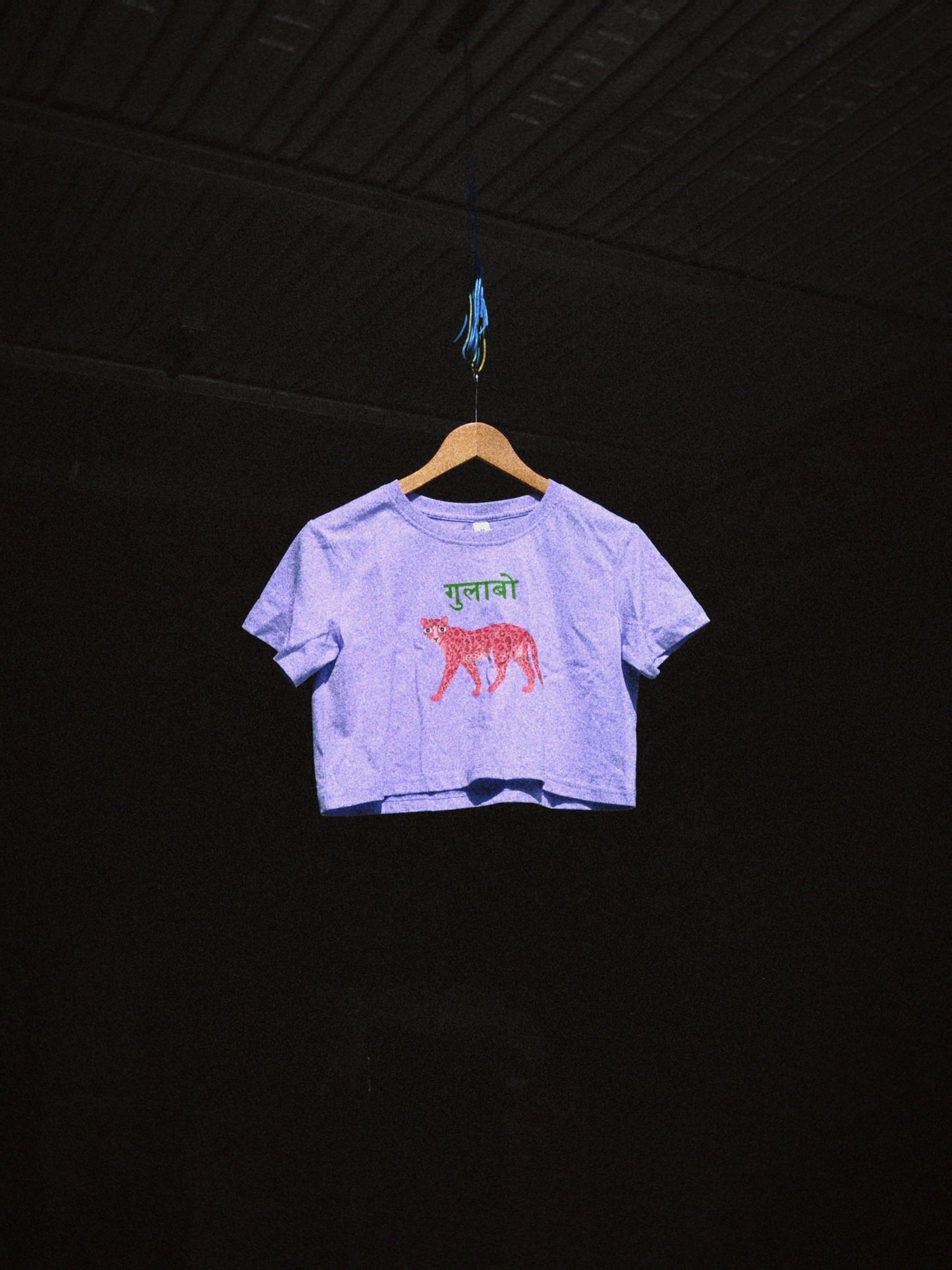 W15- GULABO LEOPARD PRINTED CROPPED T-SHIRT · 200 GSM