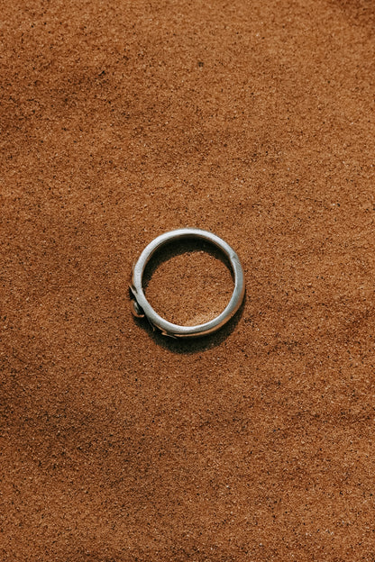 N166-Orb Ring